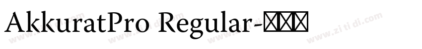 AkkuratPro Regular字体转换